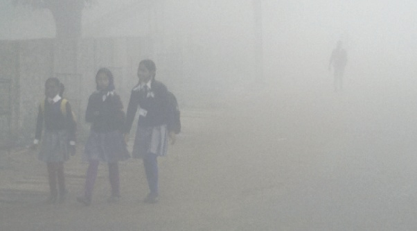 Cold wave, thick fog affect daily life in Terai